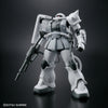 HG Zaku II Type C-6/R6 [Painting Model]