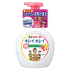 Japan Lion Anti Bacterial Foaming Handwash 500ml (Citrus) - Citrus scent