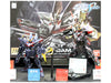 HGCE R04 Blitz Gundam 1/144