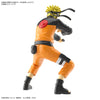 ENTRY GRADE UZUMAKI NARUTO