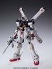 MG Cross Bone Gundam X1 Ver.Ka