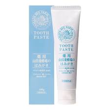 Japanese Yamada Medicinal Apiary Whitening Toothpaste